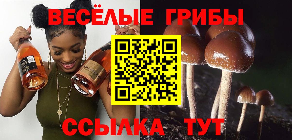 Галлюциногенные грибы Cubensis  Вход с VPN  Псилоцибиновые грибы Magic Shrooms  Пыть-Ях 